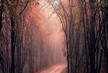 爱游戏体育：圈内人士：如果伊万大胆启用王钰栋、刘诚宇，说不定能带来惊喜.