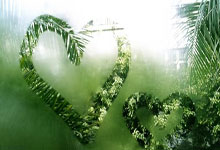 爱游戏体育：圈内人士：如果伊万大胆启用王钰栋、刘诚宇，说不定能带来惊喜.